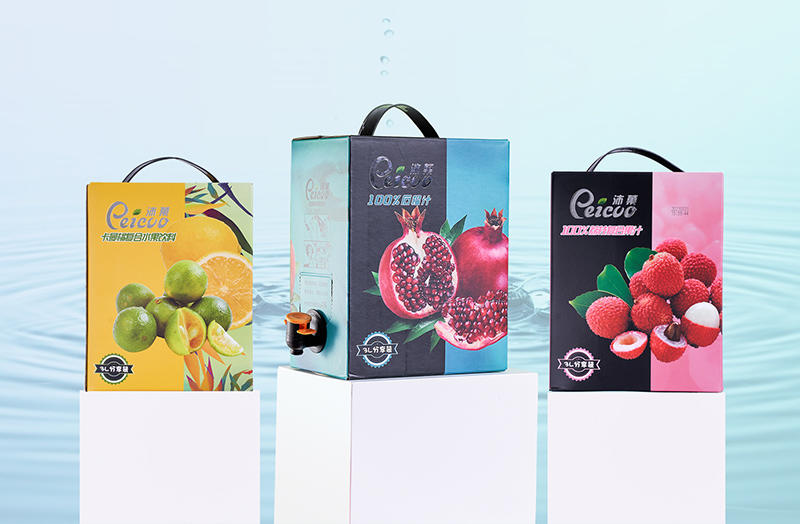 Производители пакетов Bag-in-Box: революционные упаковочные решения для различных отраслей промышленности